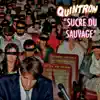 Quintron - Sucre du sauvage